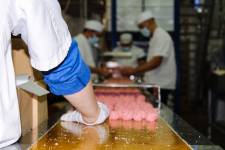 Amandine LAMRI - LAMRI