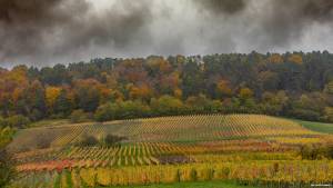 Julien SESIA - Julien-Sésia-Photographie©